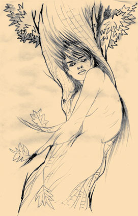 dryad